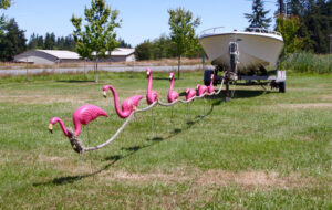 plastic flamingo pulling boat on trailer